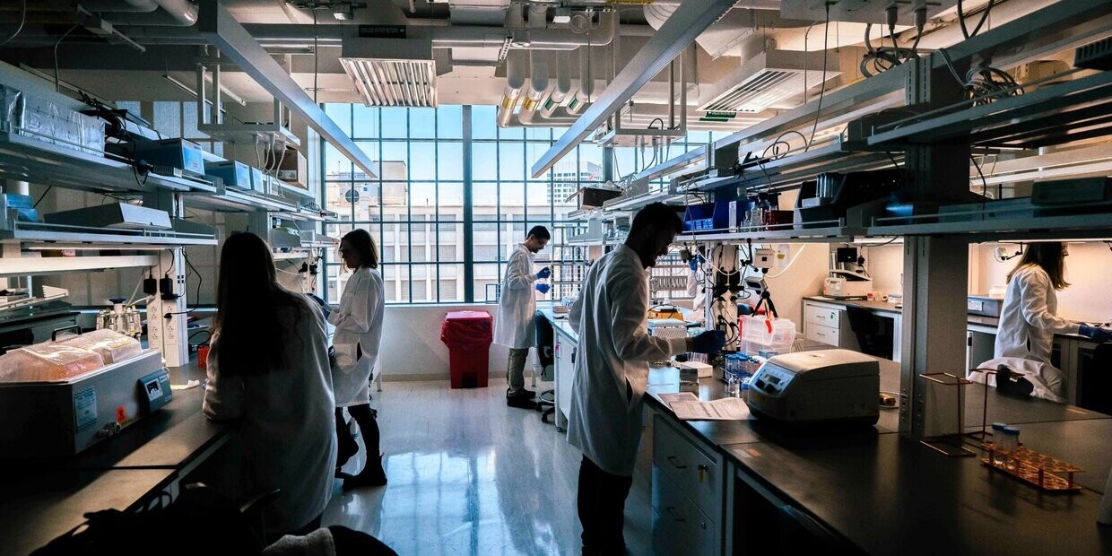 Perché alcuni scienziati ottengono risultati migliori? Un’AI prova a scoprirlo