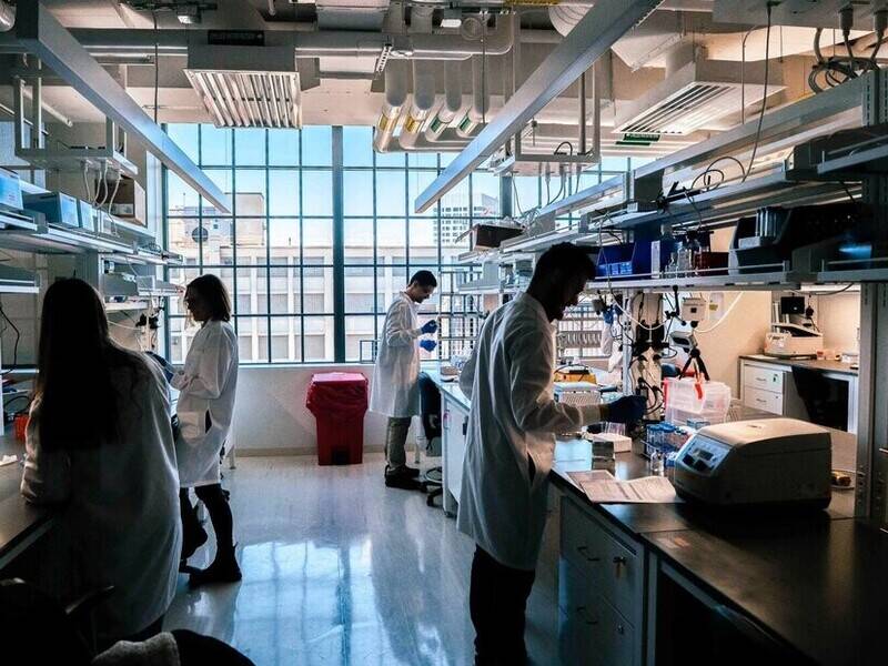 Perché alcuni scienziati ottengono risultati migliori? Un’AI prova a scoprirlo