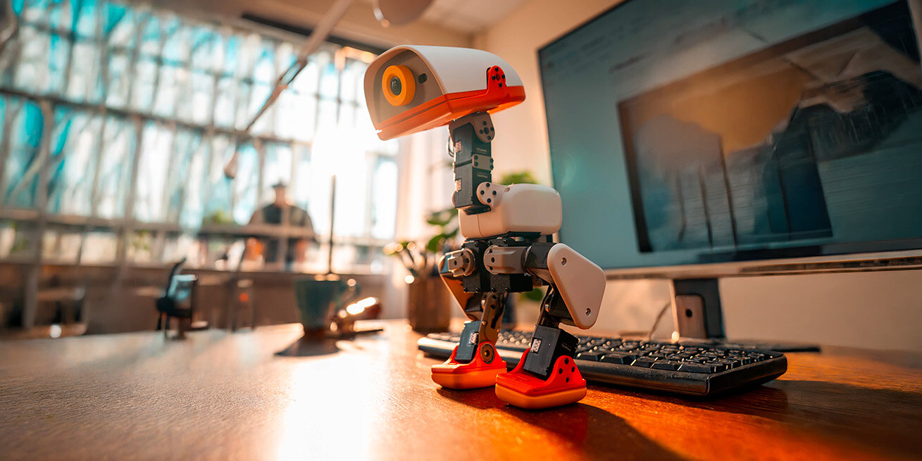 Perché le papere robotiche Microduck piacciono così tanto