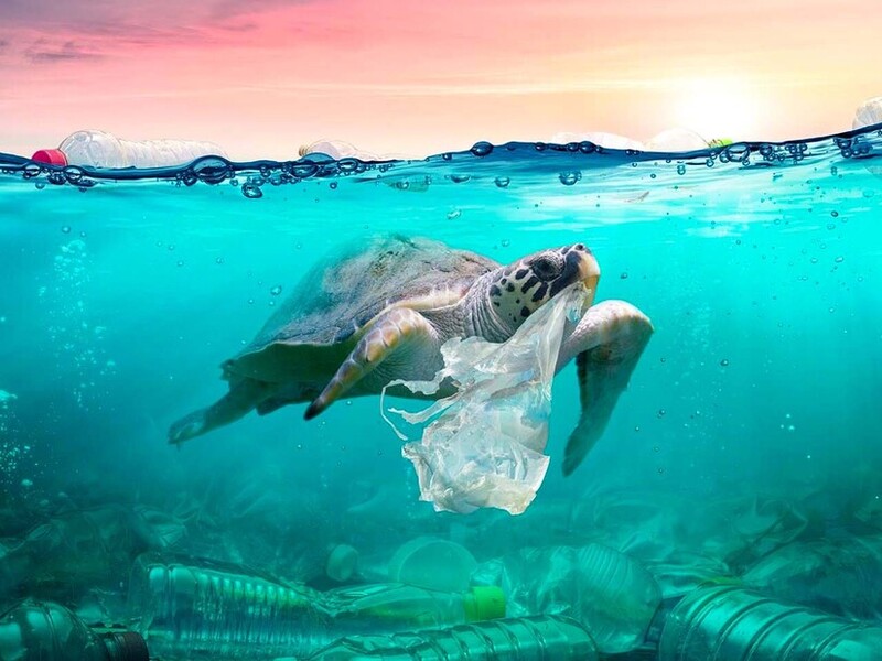 Giornata mondiale degli Oceani 2023: tra speranze e problemi