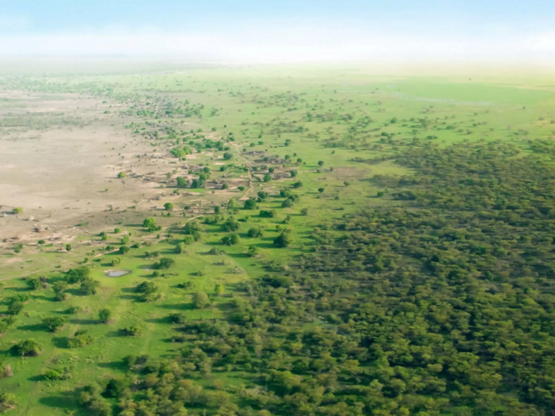 Il muro verde africano contro la desertificazione