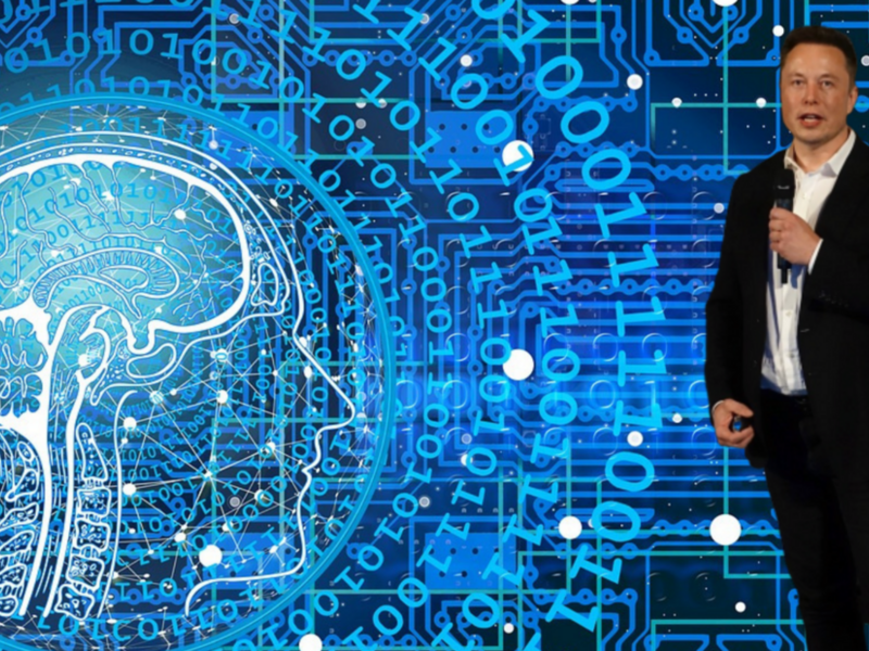 Neuralink cerca volontari per testare i suoi chip sul cervello umano