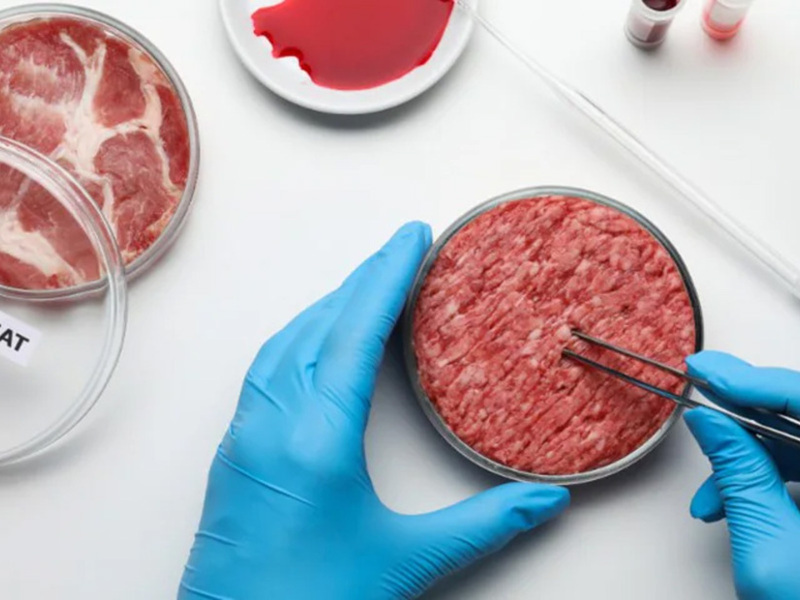 Dopo tanto rumore il governo ritira in silenzio il "ban" sulla carne coltivata