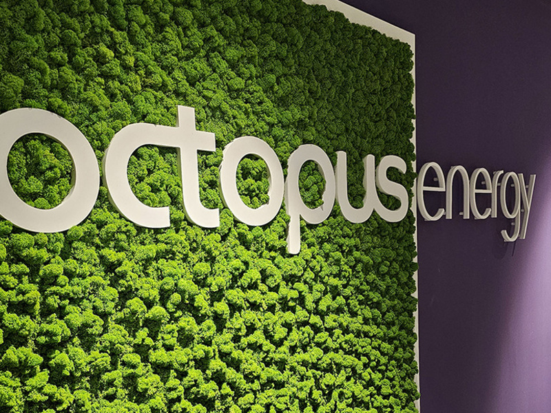 Octopus Energy: energia pulita al 100% per 60mila clienti italiani