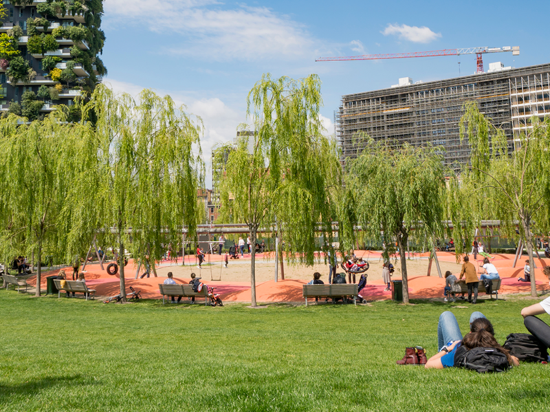 Gli alberi del BAM di Milano hanno stoccato oltre 100 tonnellate di CO2 da novembre 