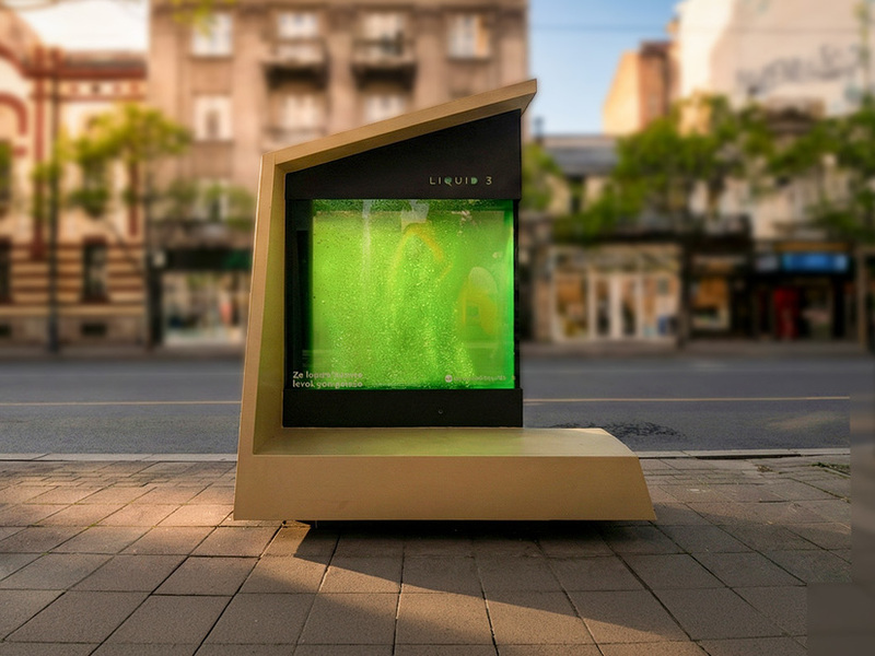 L’albero liquido che "respira" dove il cemento soffoca la città (e arriva anche in UE)