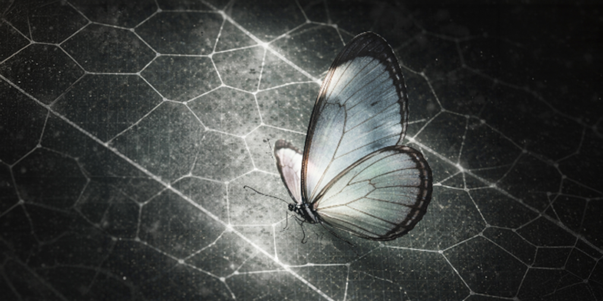 Progetto Glasswing: la coalizione globale per la sicurezza del software