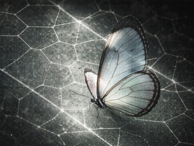 Progetto Glasswing: la coalizione globale per la sicurezza del software