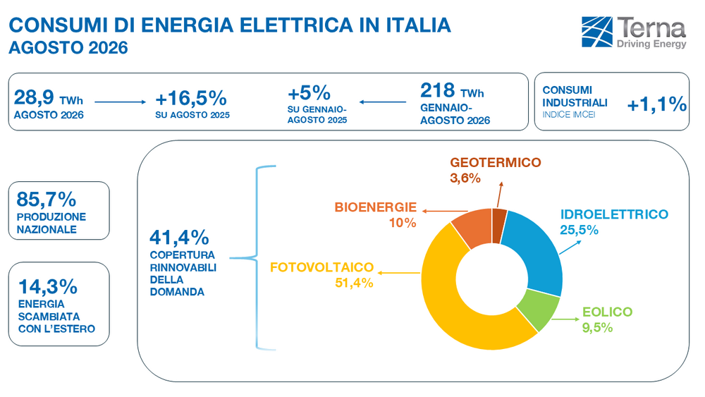 Consumi elettrici Italia Terna